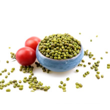 Green Mung Bean (Prime quality dried),sprouting grade mung beans,mung beans for sprouting
